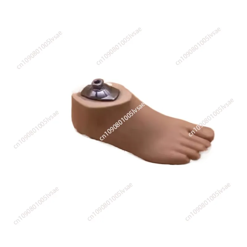 

Prosthetic Foot Board Static Ankle 22～27cm Accessories Parts Artificial Limbs Ortheses Prostheses Sockets Fasten