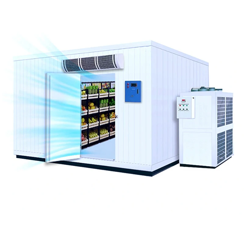 Industrial Blast Freezer Quick Freezing Cold Room Flash Freezing Equipment for Food Processing Custom