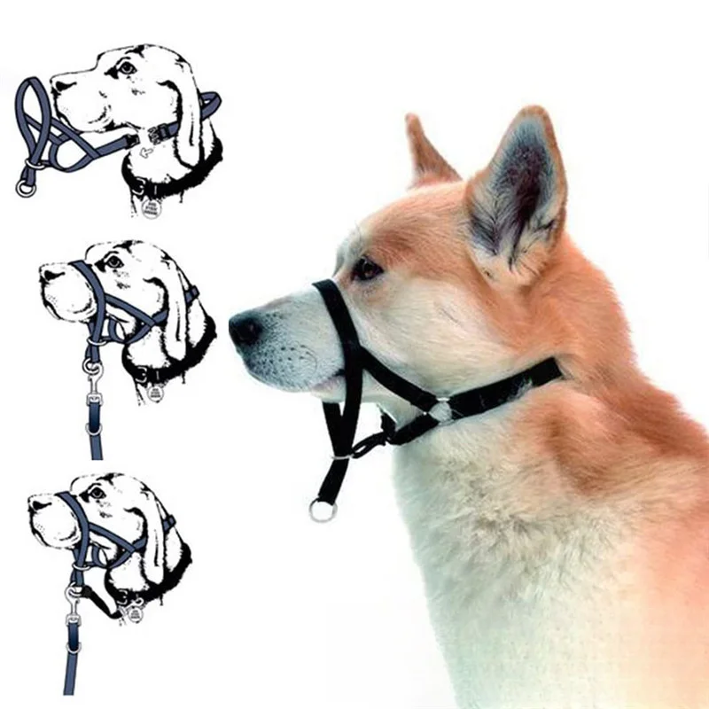 Thumbnail 4 - #8 Highest Rated Dog Muzzles to Buy in 2026