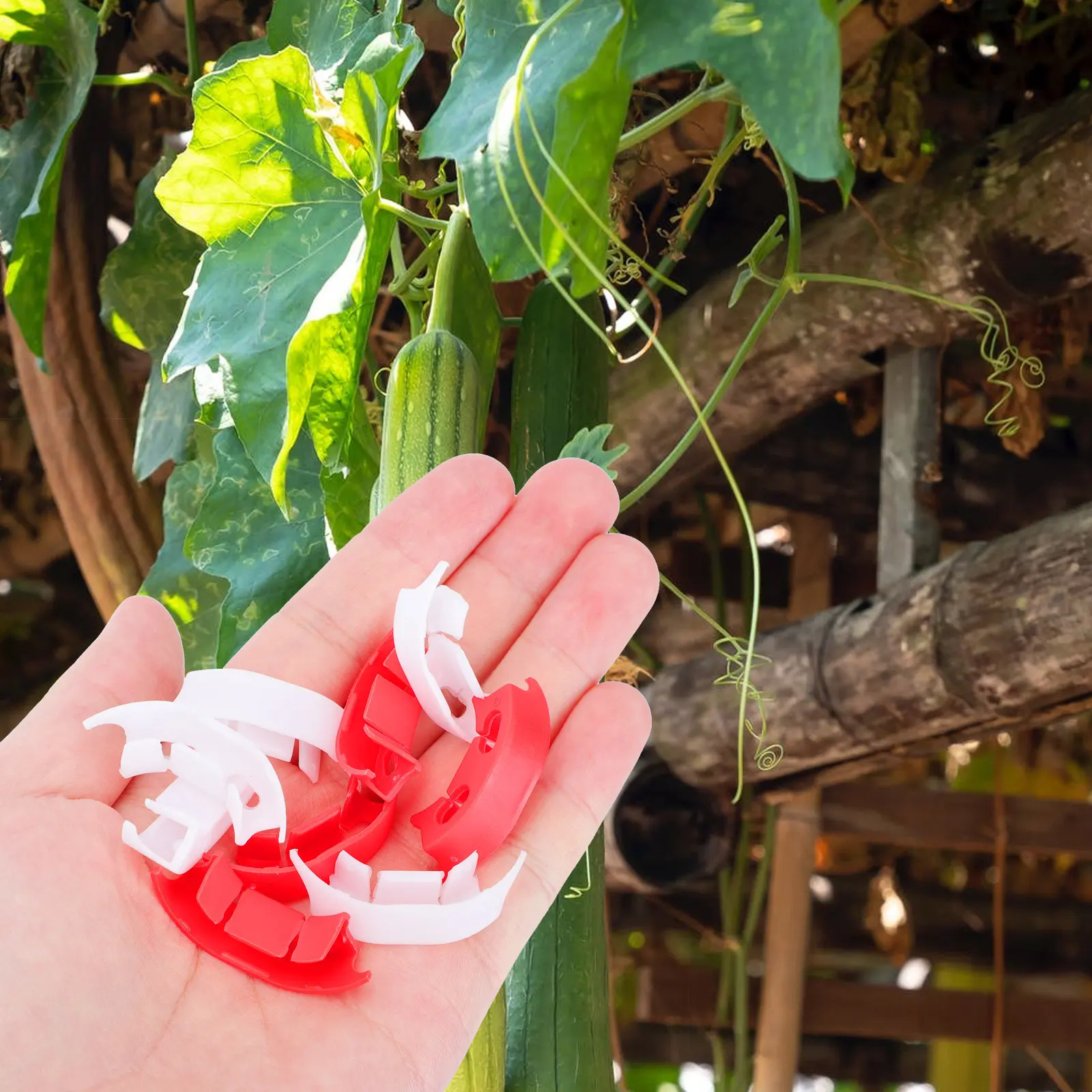 100Pcs Plant Branch Clamp Heavy-Duty Twig Clip for Plant Training Bending Shaping Growth Control Outdoor Indoor Gardening