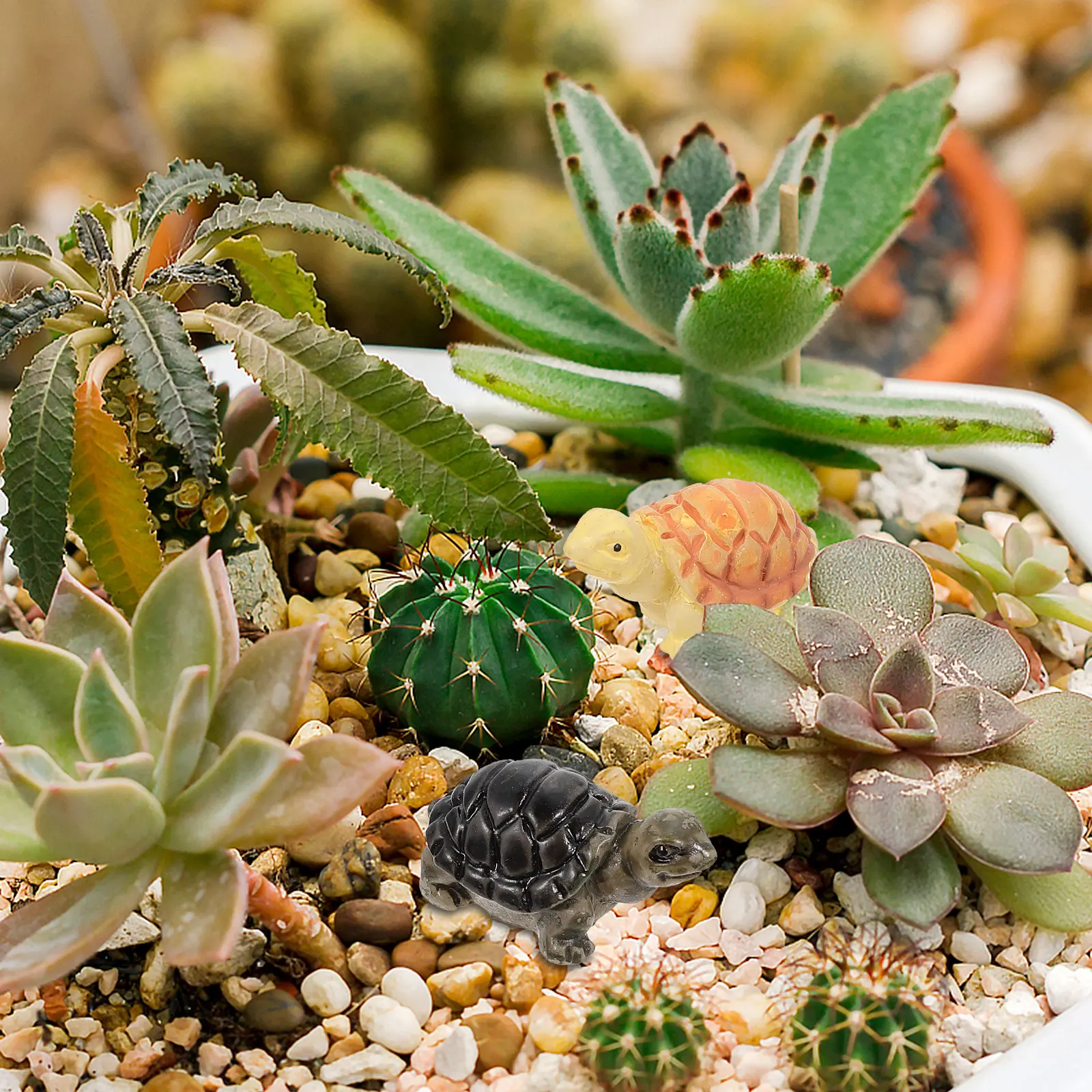 10Pcs Mini Resin Turtle Figurines Fairy Garden Decor Tortoise Statues for Bonsai Succulent Plant Pots