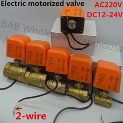 AC220V DC12-24V Actuator Motorized Brass Valve 2-wire 2-way 1/2