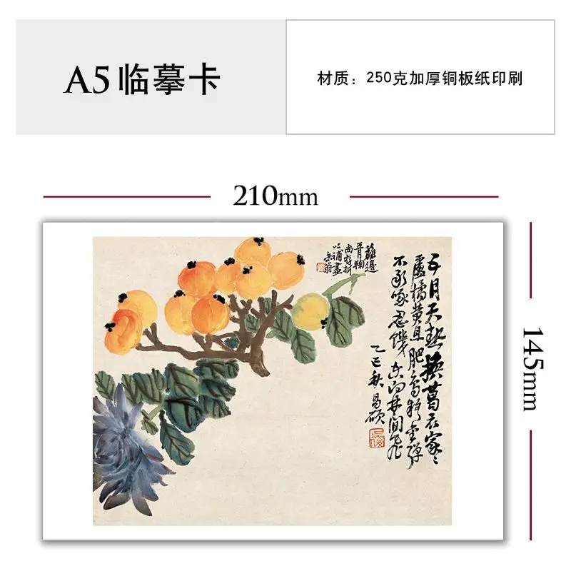 Chinese Painting Copying Card Flower and Fruit Chapter Introduction To Ink Painting Art Training Set of 48 Pieces