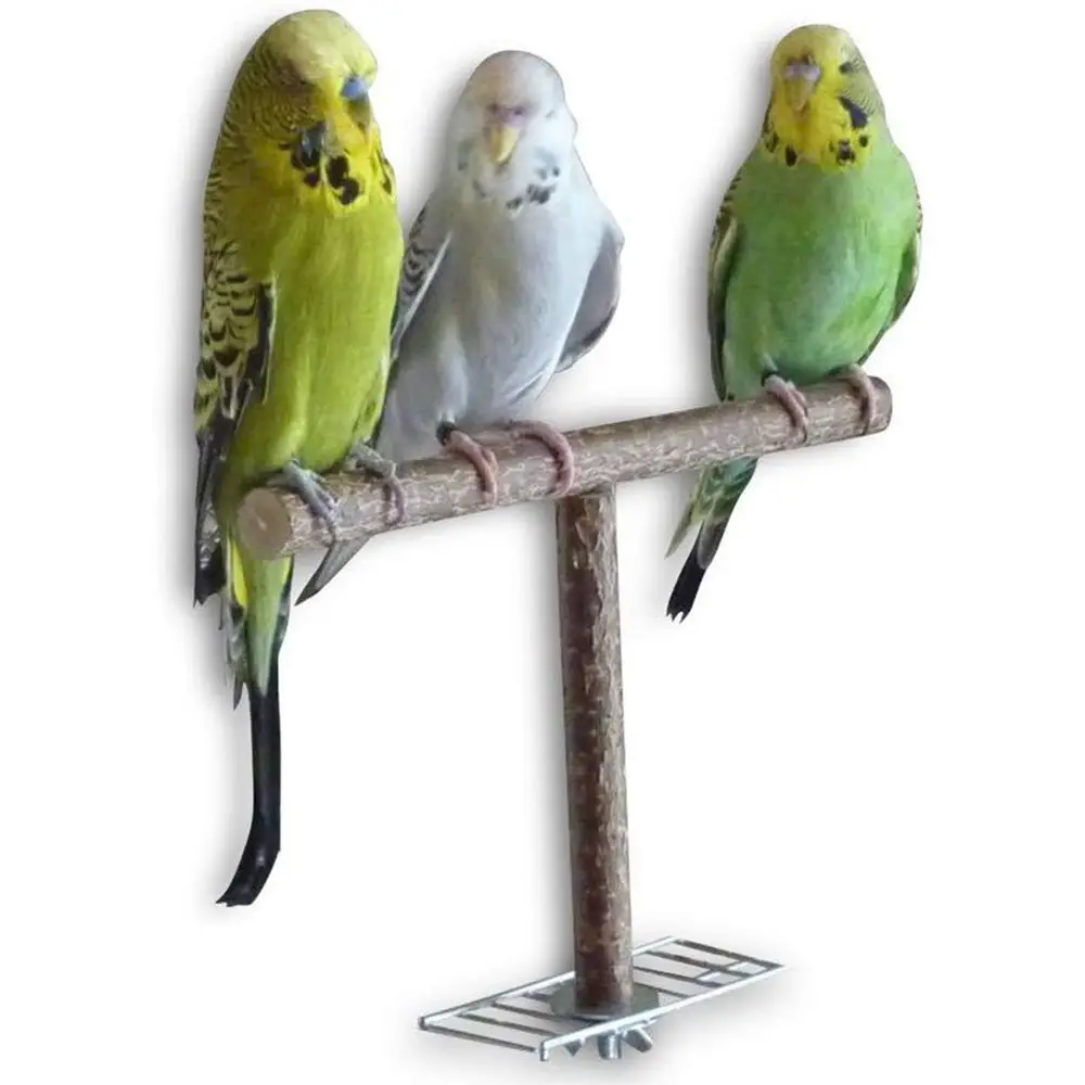 Bird Parrot Cage Toys Training T Shape Perch Grinding Chewing Parakeet Natural Wood Stand Toy