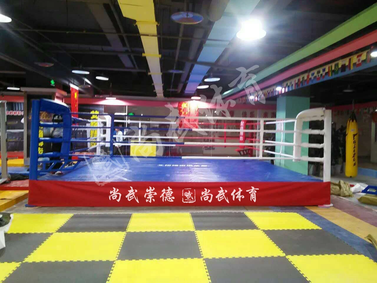 Hot Sale Boxing Cage Cheap Price MMA Ring Customized Wholesale Boxing Ring For Gym For Training Sports
