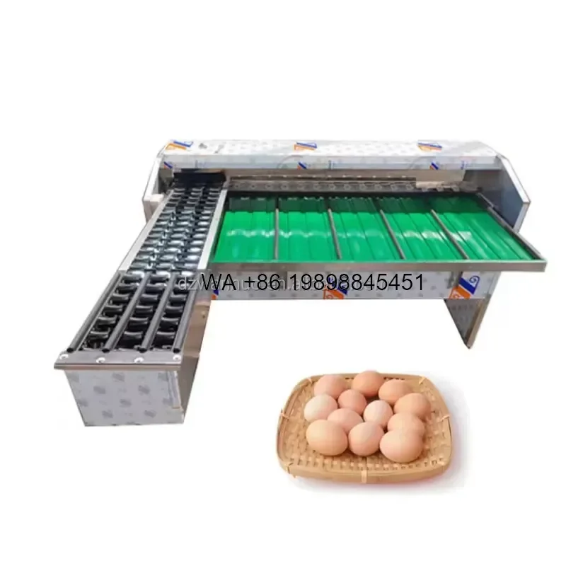 Wmwmnu New Stainless Steel Fully Automatic High Precision 0.5g Chicken Egg Washing Sorting Easy Operate Large