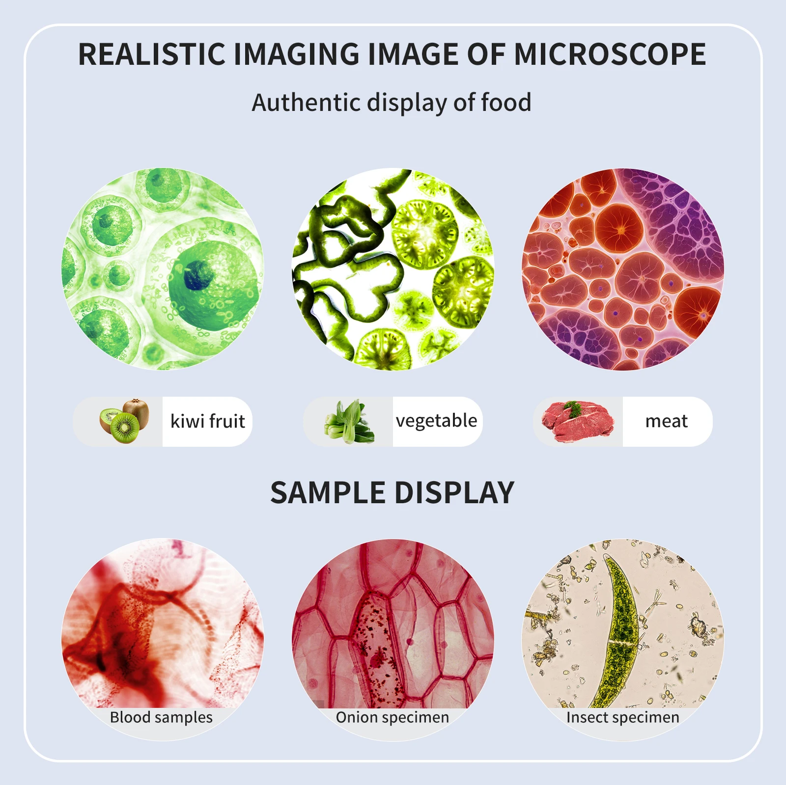 High definition, high magnific - Medical Lab Microscope recension och pris