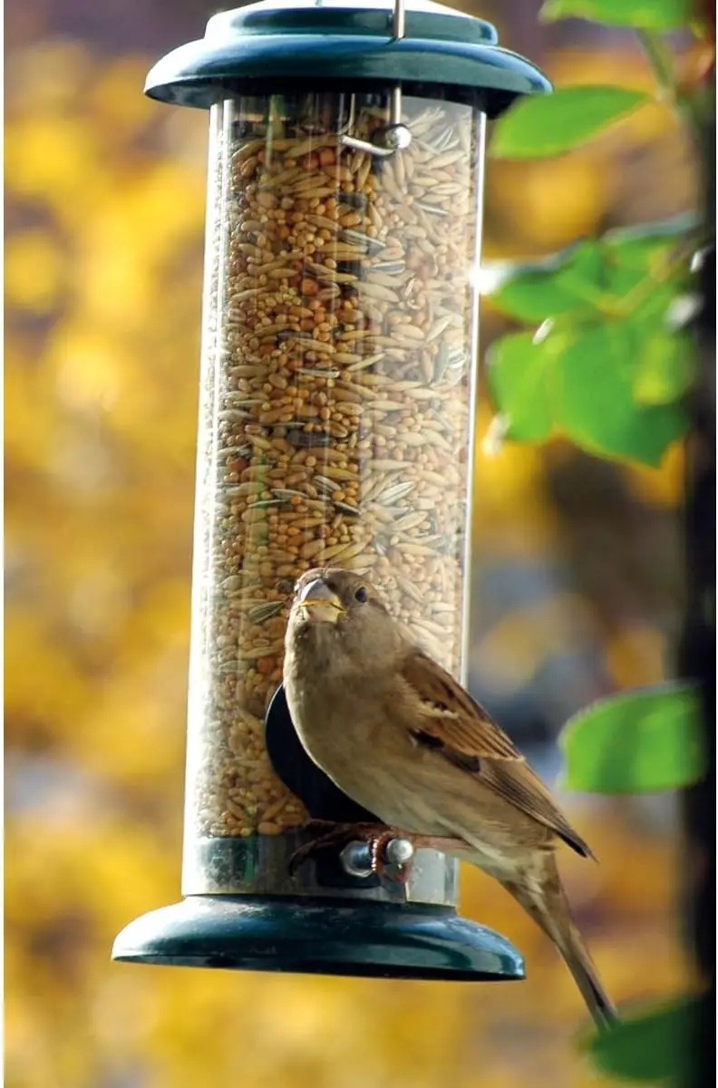 Bird Feeder With 2 Perches, Hanging Metal Bird Feeder Statuette, 9.5 X 9.5 X 23 Cm, Green, For Outdoor Garden Backyard Wild Bird Feeding