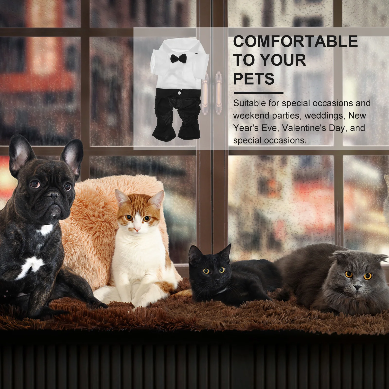 

1Set Dog Suit Kit Pet Costume Formal Wear for Special Events Wedding Party New Year's Eve Comfortable Dog Suit