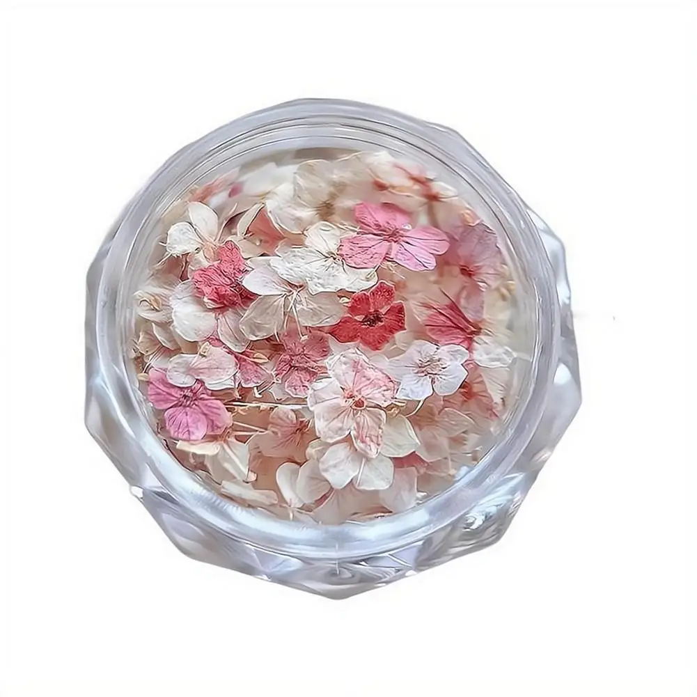 Getrocknete Blumenmaterialien für Nägel, romantische Monet-Garten-Farbpalette, lebendige Accessoires, Wildblumen-Nagelkunst-Dekorationen, Werkzeuge – Detail 2