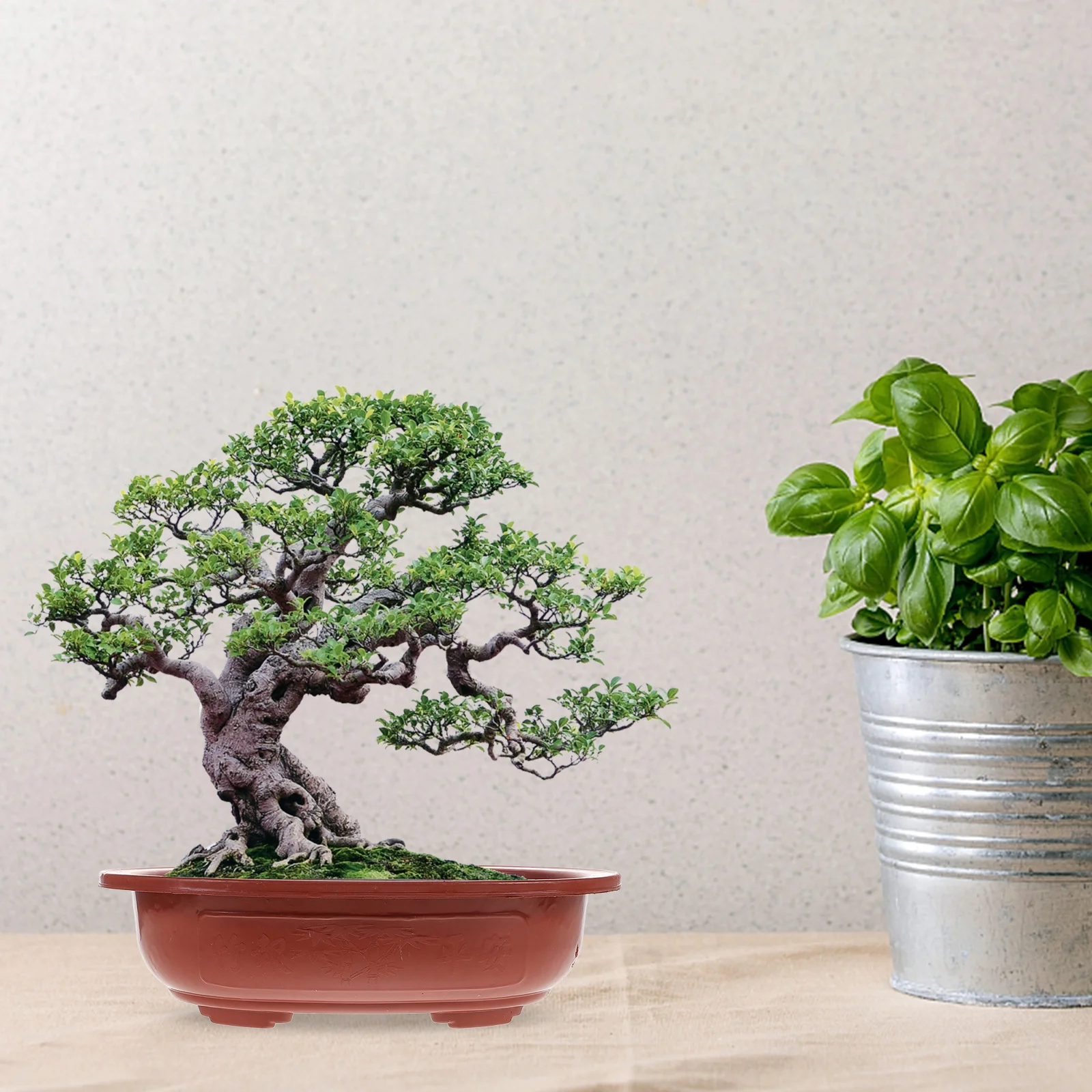 

4pcs Thickened Plastic Flowerpots Square Bonsai Planting Pots For Indoor Garden Succulent Plant Containers Home Balcony Planter