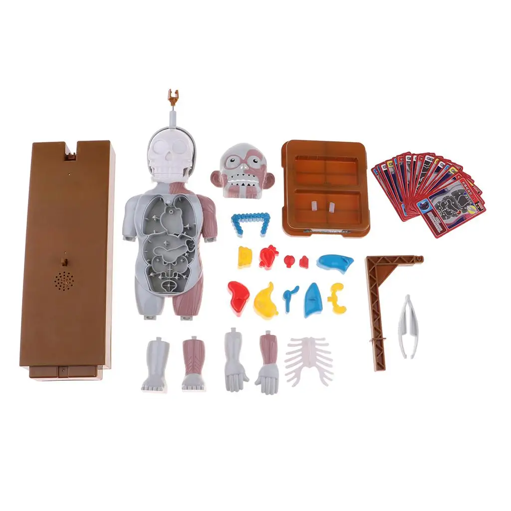 Human Body Model with Removable Organs Prank Scary Tricky Toy for Halloween Party