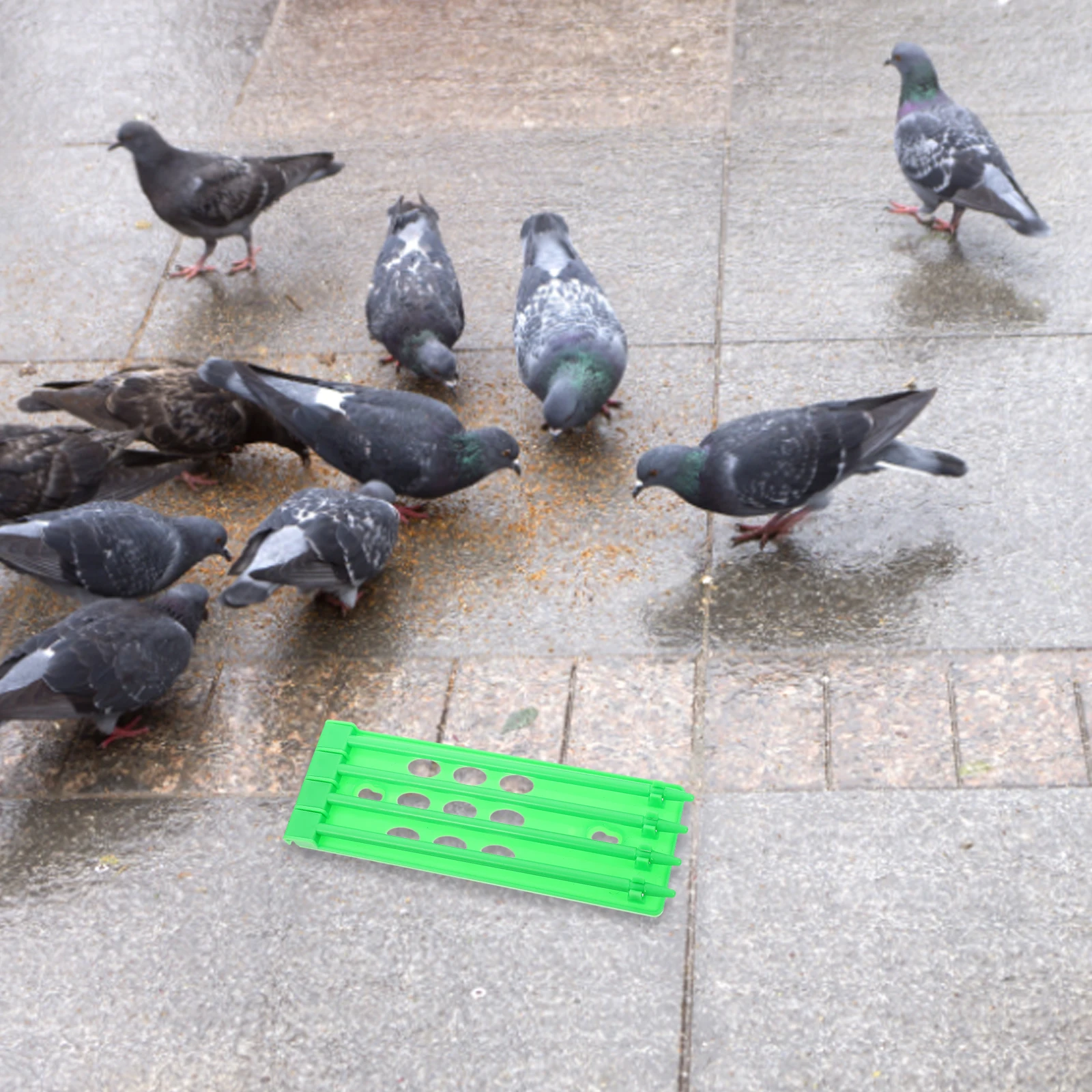 

2pcs Foot Ring Organizer Pigeon Ring Rack Chicken Band Racks Durable Multi-Hole Design For Poultry Breeding Management Pigeon