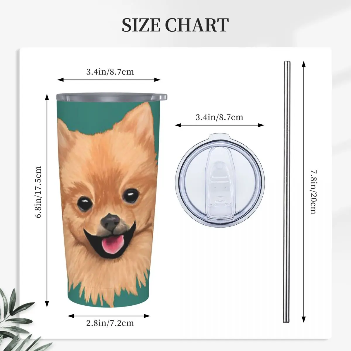 Pomeranian Stainless Steel Tumbler Vacuum Insulated Mug Thermal Cold Cups Straw With Lid 20oz