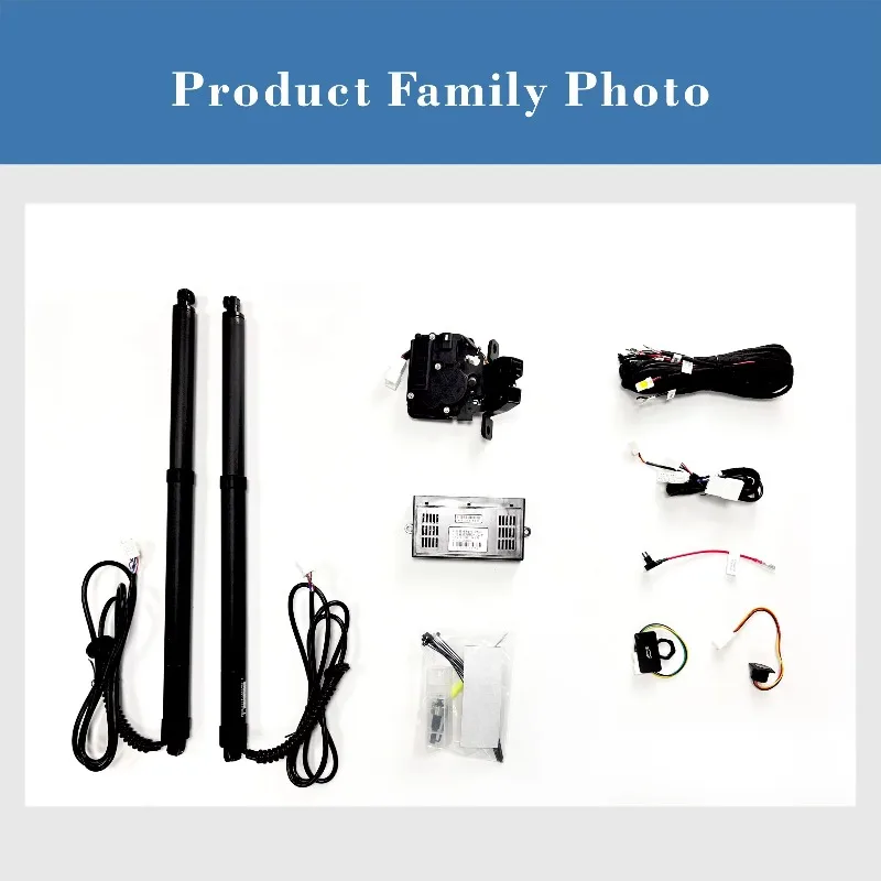 

Exclusive Production Worldwide Electric Tailgate Hydraulic Electric Tailgate for SONG PRO Custom OEM Compression Price