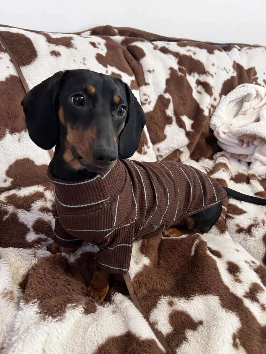 Braune gestreifte 2-beinige Dackel-Hundekleidung, warmer elastischer Pullover für Wiener Hundekleidung, Frühlings-Hundekostüme für Wurst – Detail 2