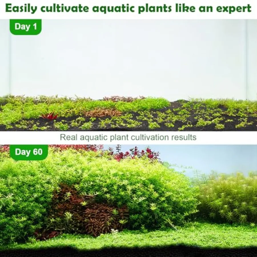 finished aquarium aquascape
