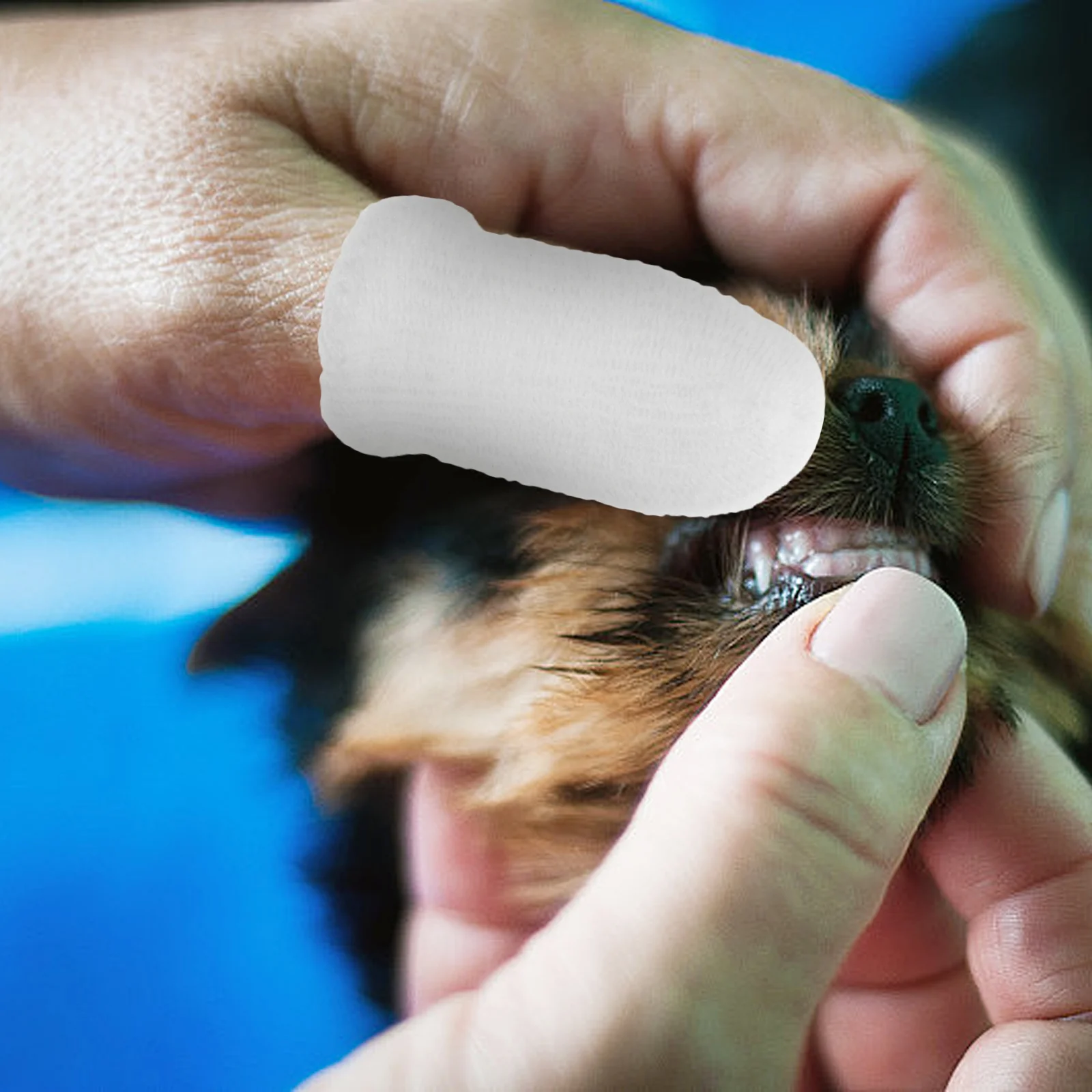 10 Pcs Pet Cleaning Finger Cots Dog Toothbrush Cleaner Cats and Dogs Puppy Nylon Teeth