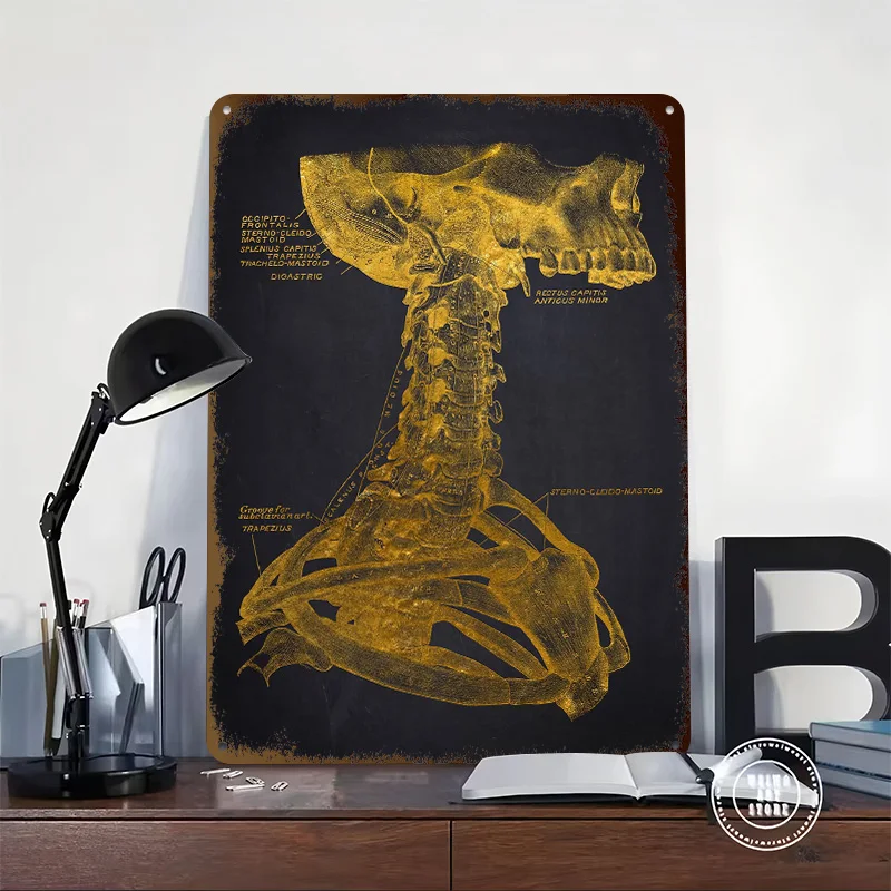Gold Anatomical Neck Illustration Tinplate Posters Customizable Wall Art Retro Vintage Metal Signs for Home Room Bathroom Decor
