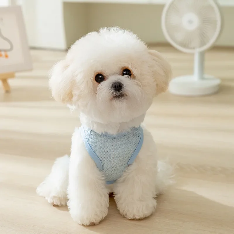 Sky blue hollow breathable bear sticker traction vest small dog bichon two feet summer pet dog dog clothes