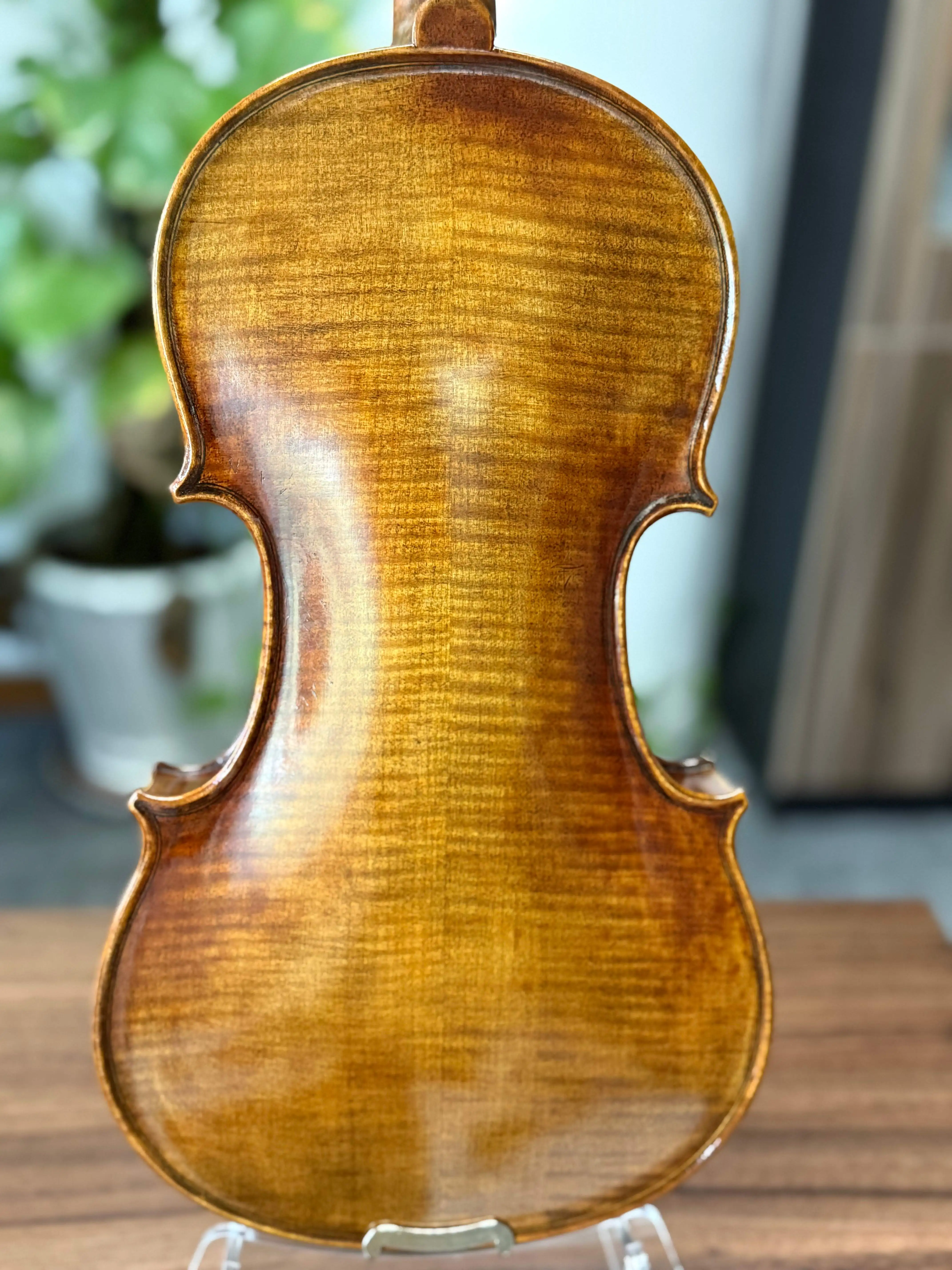 4/4 Spruce Maple Violin with Brazil Wood Bow Antique Oil Finish