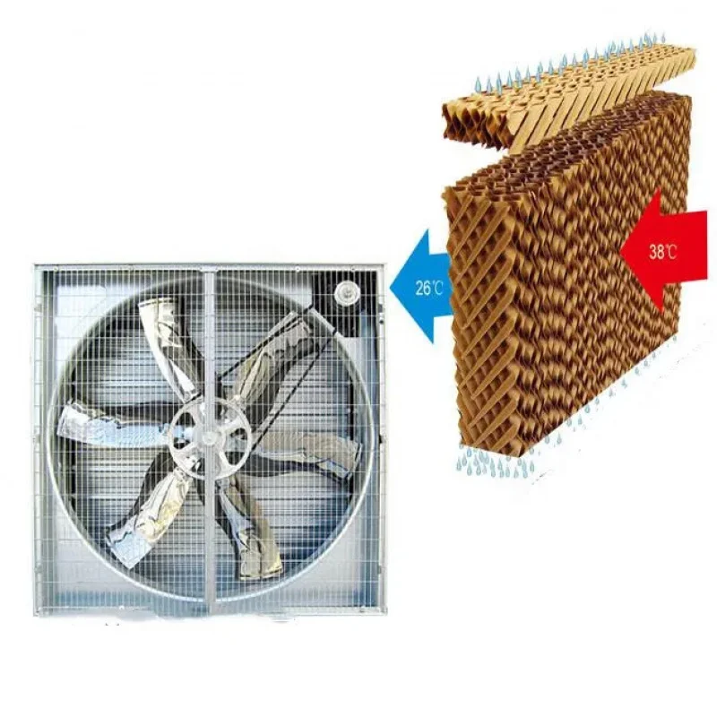 

Customization High Efficient Greenhouse Systems Pad Fan Cooling System