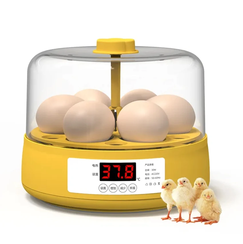 

Hot Sale Dual Power Full Automatic Mini Incubator for Home Use 4/6/18 Chicken Egg Incubator