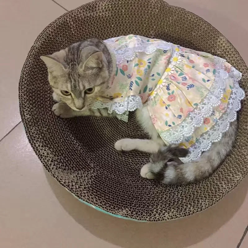 Summer Pet Clothes Cat Lace Dresses for Cats Gotas Flower Sphynx Dog Princess Dress Skirt Kitten mascotas Clothing vetement chat