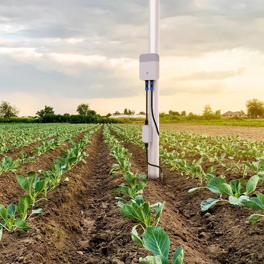 Soil pH Monitoring Wireless soil pH monitoring kit for accurate acidity data