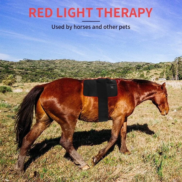 Infrared Red Light Therapy Horse Pad Red Horse Blankets Equine Light Therapy Horse Rug for Animal