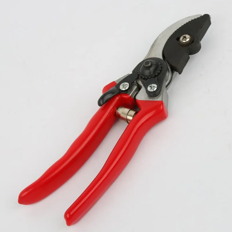 

Fruit picking shears, fruit and vegetable picking shears, thick branch pruning shears, garden tool labor-saving shears
