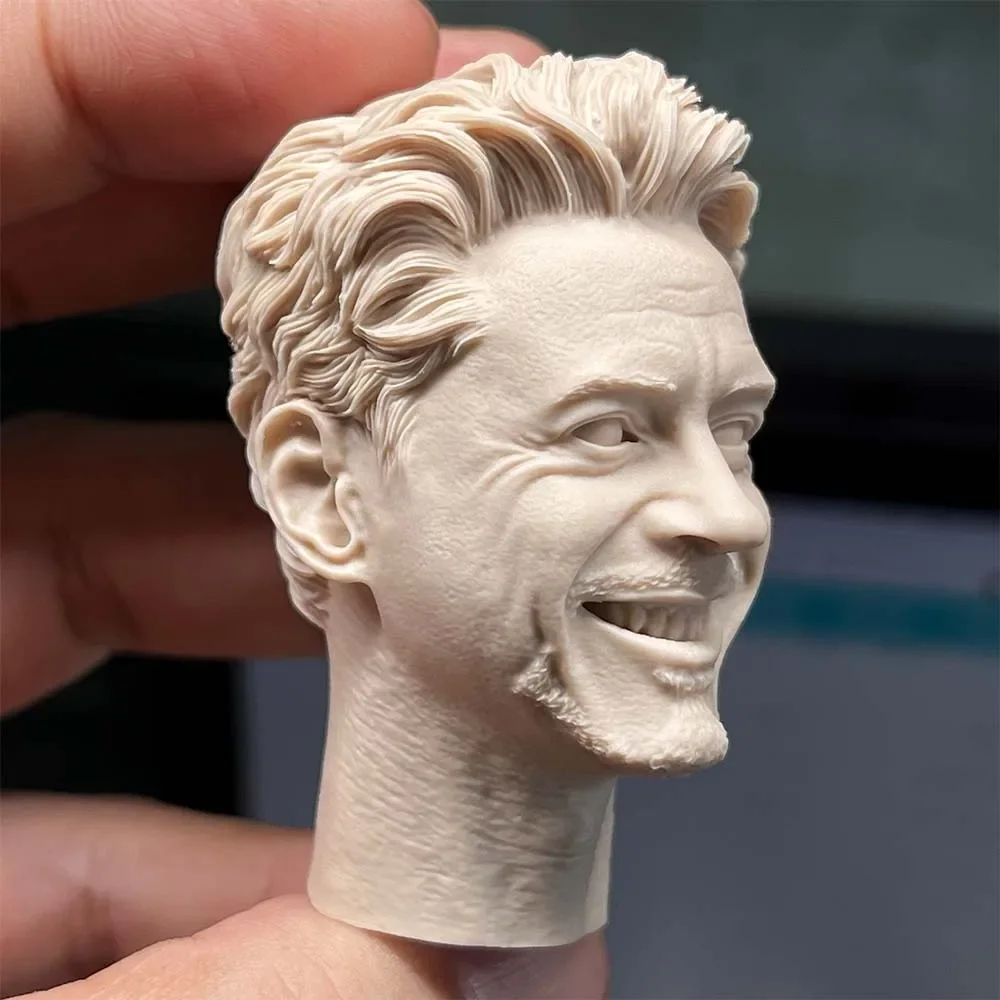 1/6 Die-cast Resin Model Assembly Kit Head Sculpted Model Toy (55mm) Unpainted Free Delivery