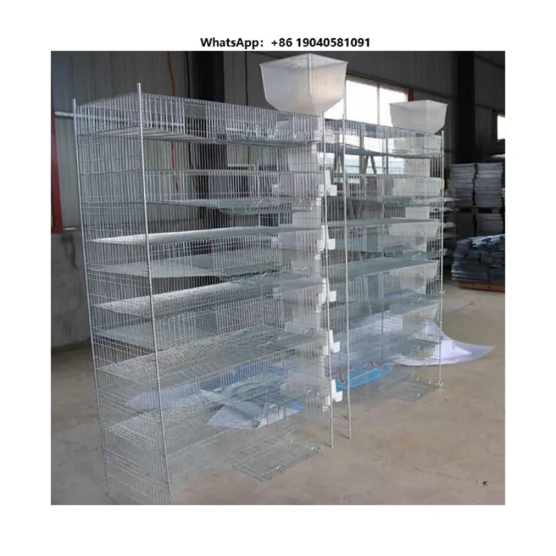 The Biggest Discount Quail Cage Wholesaler Automatic Quail Cage Equipment Quail Cage Wholesaler to Order Extra Coarse Encryption