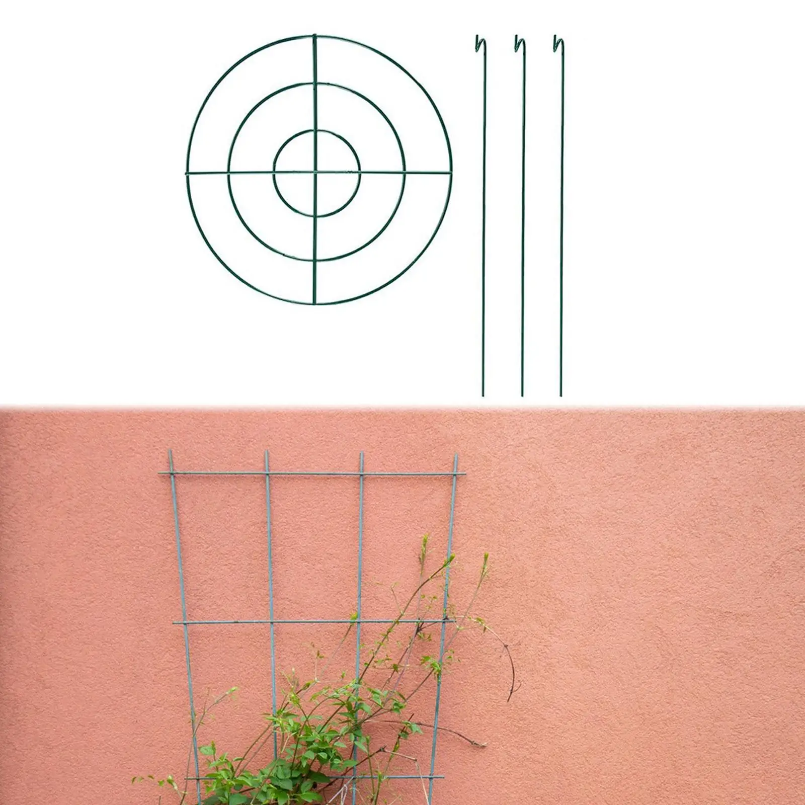 

Peony Cage Support Stake Ring for Hydrangea Tomatoes Indoor Potted Plants