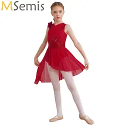 Kids Girls Sequins Lyrical Dance Dress Sheer Overlay Figure Skating Performance Costume Gymnastics Ballet Dance Skirted Leotard