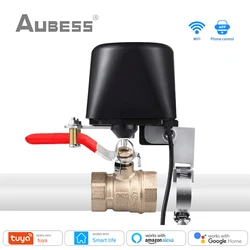 Tuya Smart WiFi valvola acqua Gas, valvola Smart Home interruttore Bluetooth App telecomando impianti di irrigazione agricoli, tramite Alexa Google Home