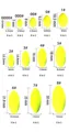 size 4 yellow