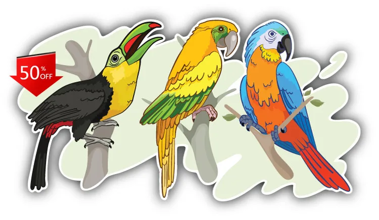 

Tropical Birds Decal''SIZES'' Cute Boat Window Car Bumper Accessory Unique Vintage Retro Cool