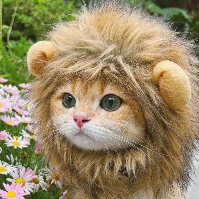 Cute Lion Mane Wig para Animais de Estimação, Cão Pequeno, Gatos, Traje, Boné, Chapéu, Fantasia, Cosplay, Brinquedo, Pet Acessório