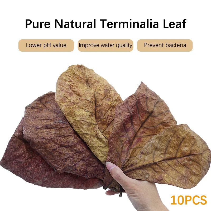 10pcs Natural Terminalia Catappa Leaves Aquarium Fish Tank Cleaning Tools Water Treatment Balance PH Acidity Almond Leaf