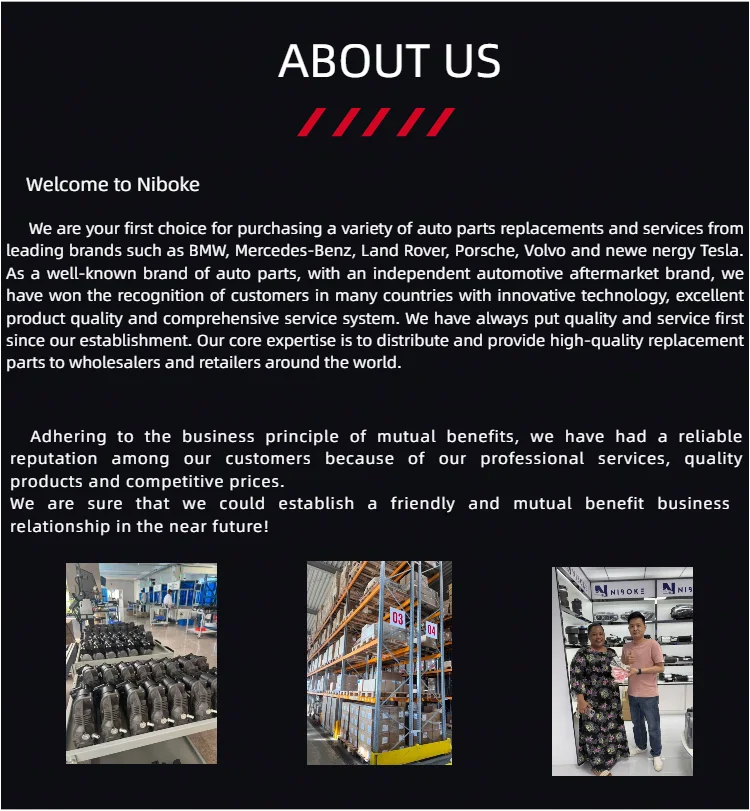 مضخة الوقود الكهربائية Niboke OEM لسيارات BMW 3-Serie 16117473449