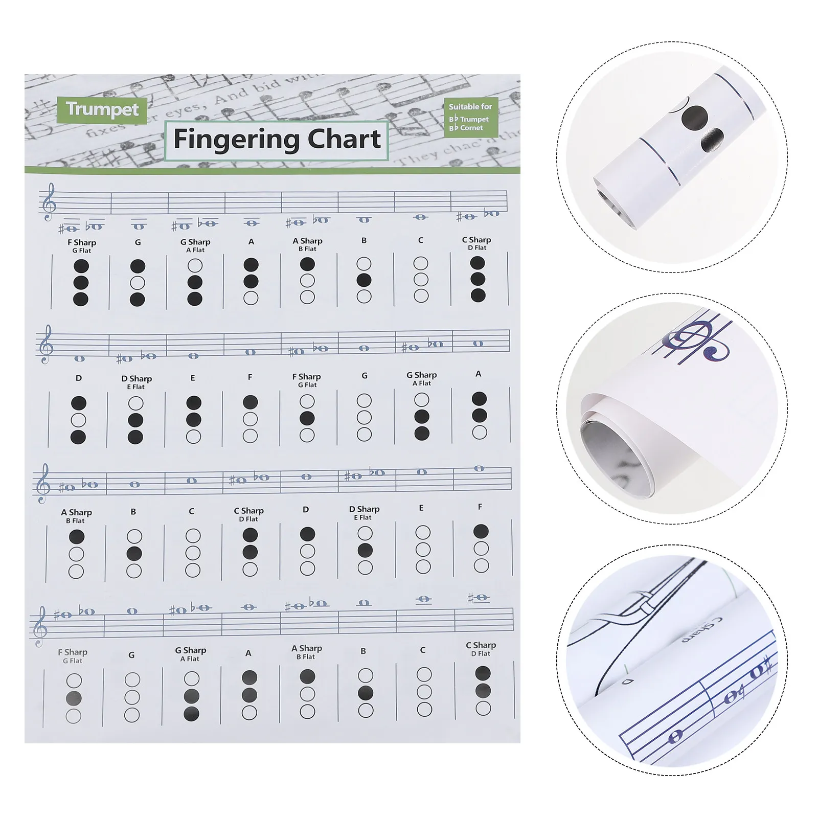 1Pcs Trumpet Chord Chart Assorted Color Clear Printable Finger Guide Visual Easy Practice Beginner Learning Poster