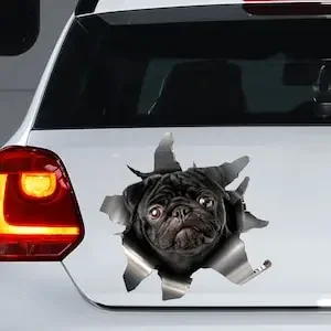 Black Pug car sticker, Black Pug decal, Black Pug magnet