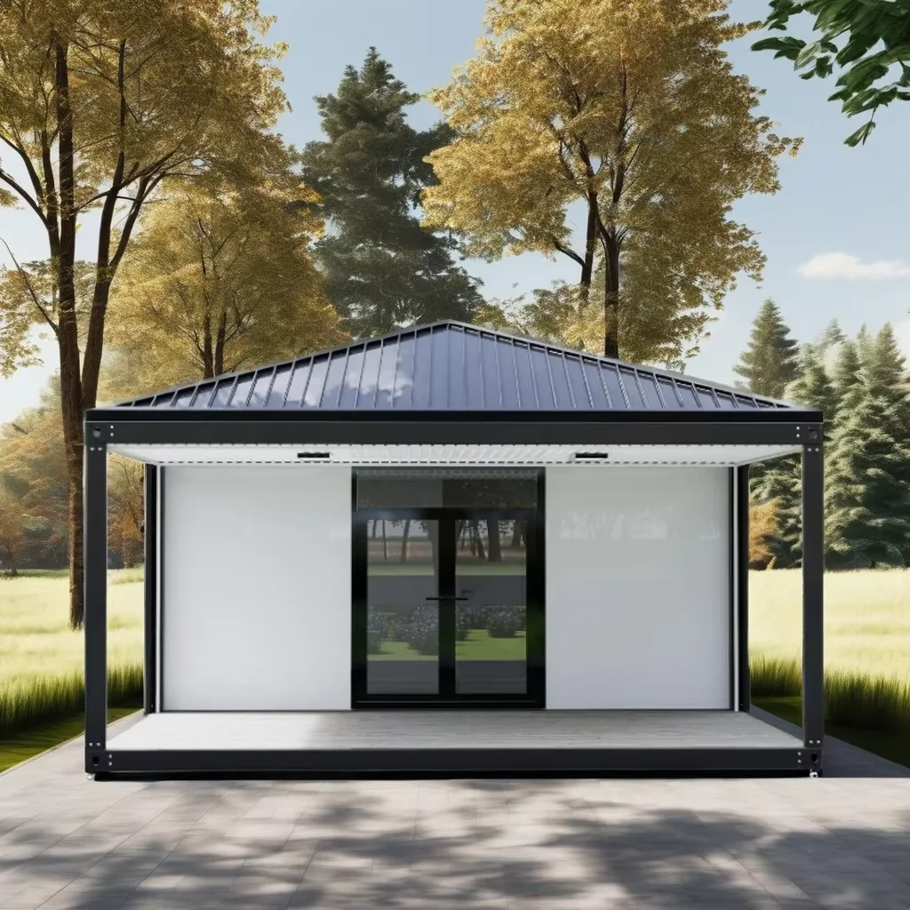20ft Steel Prefabricated Container House Mobile Expandable Prefabricated Villa with Flat or Triangular Roof for Office Hotel Use