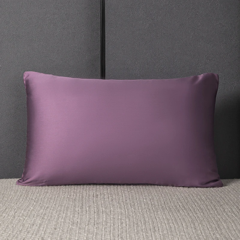 Silver Ion Silk Pillowcase Mulberry Silk Pillowcover Silky Both Sides Silk Pillow Cover for Pillow 1pc/2pc Bedding