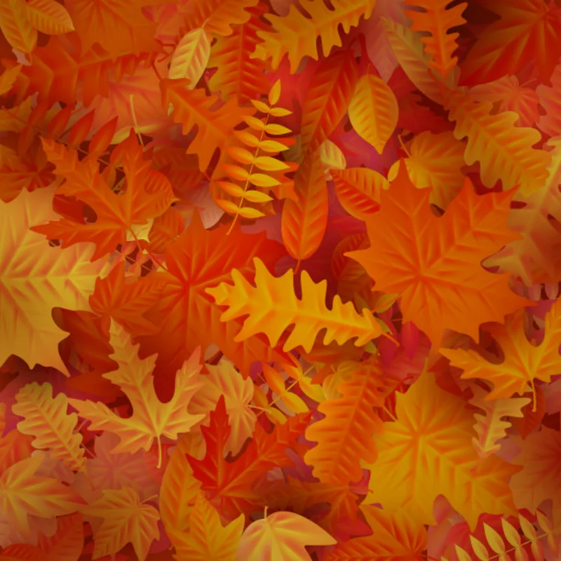 

Metal Servo Mount Plate Kit for TAMIYA 1/10 Clod Buster 4x4x4 Upgrade Parts