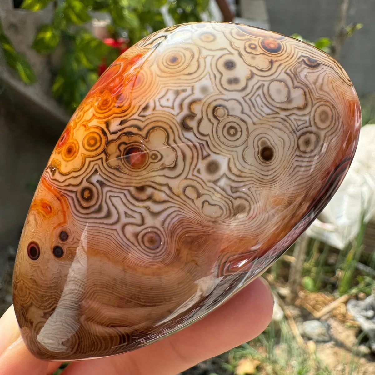 Earth Mined Banded Agate Palm Stone, Tumbled Polished, Gift Stone, Table Decor, Natural Stone, Crystal Collection, Desk Decor