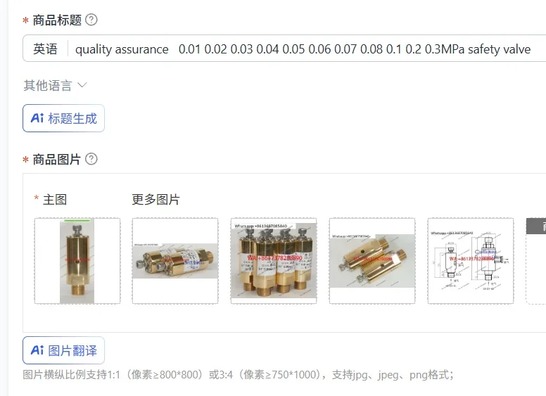 quality assurance   0.01 0.02 0.03 0.04 0.05 0.06 0.07 0.08 0.1 0.2 0.3MPa safety valve