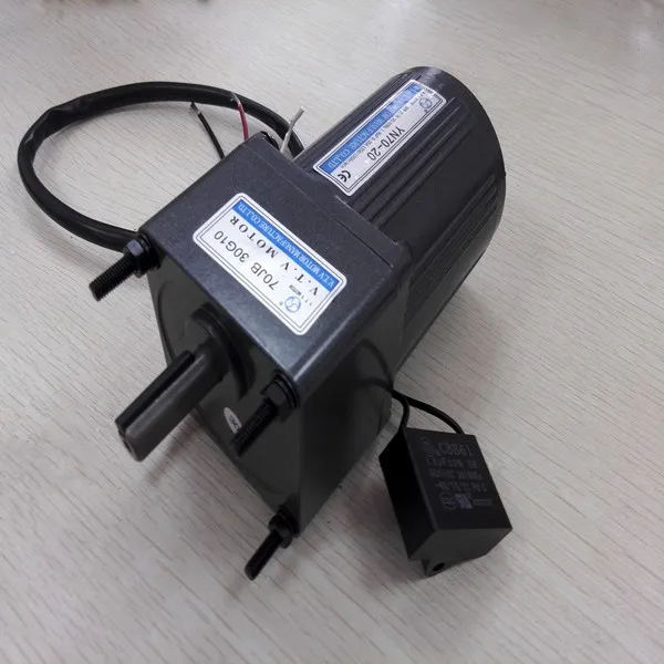 Motor Pengatur Kecepatan AC 220V 30w 50RPM