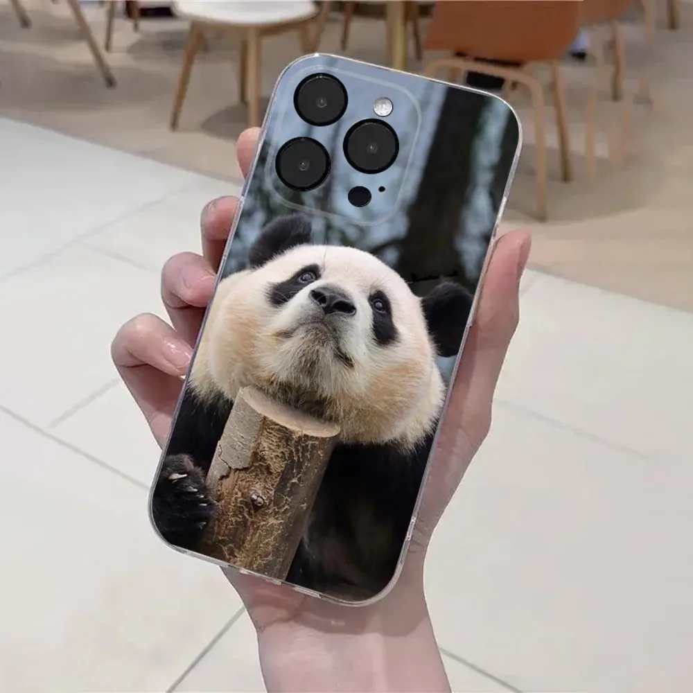 fubao panda Phone Case For iPhone 16,15,14,13,12,11 Plus,Pro,Max,XR,XS,X,7,8 Plus,SE,Mini Transparent Soft Cover